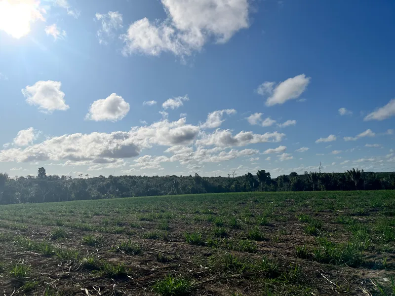 Fazenda em Belmonte/Bahia — Ref 39YHOY — Imagem 5