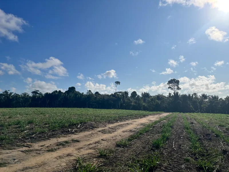 Fazenda em Belmonte/Bahia — Ref 39YHOY — Imagem 6