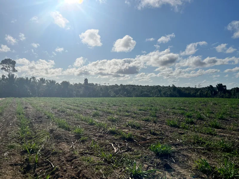 Fazenda em Belmonte/Bahia — Ref 39YHOY — Imagem 7