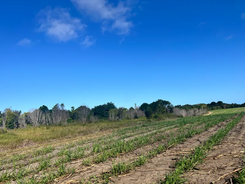 Fazenda em Belmonte/Bahia — Ref 39YHOY — Imagem 9