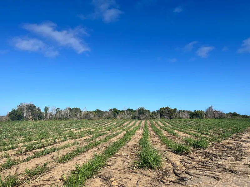 Fazenda em Belmonte/Bahia — Ref 39YHOY — Imagem 10