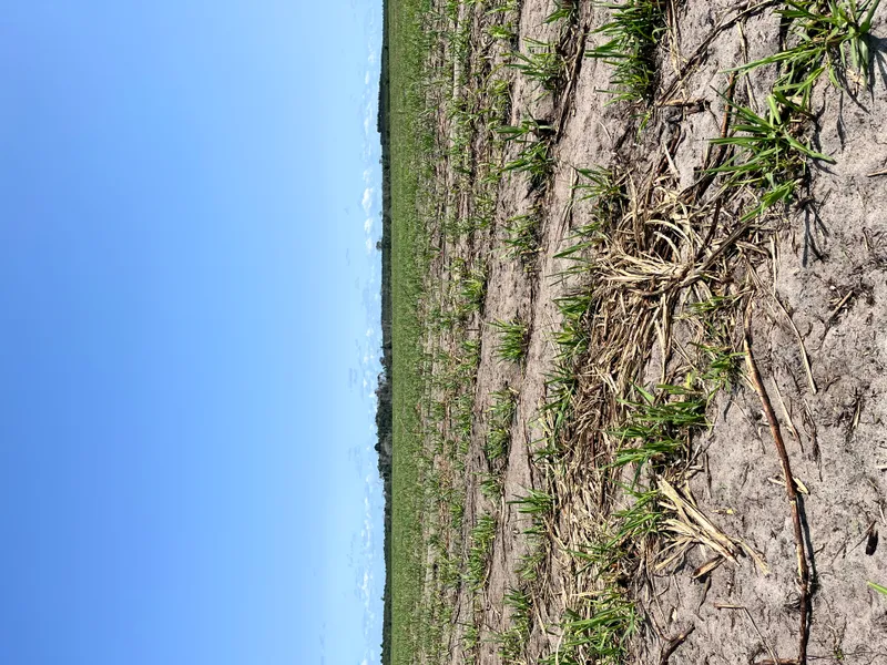 Fazenda em Belmonte/Bahia — Ref 39YHOY — Imagem 11