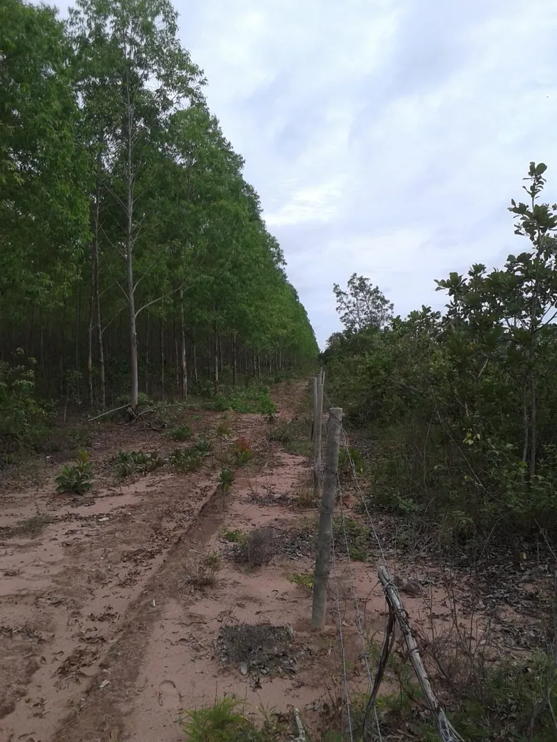 Fazenda em João Pinheiro/Minas Gerais — Ref TEYYBP — Imagem 2