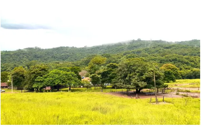 Fazenda em Cumari/Goiás — Ref YPPPC8 — Imagem 2
