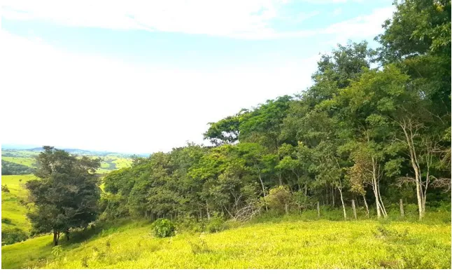 Fazenda em Cumari/Goiás — Ref YPPPC8 — Imagem 3