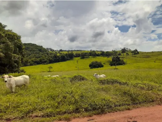 Fazenda em Cumari/Goiás — Ref YPPPC8 — Imagem 1
