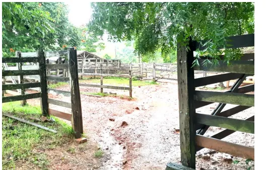 Fazenda em Cumari/Goiás — Ref YPPPC8 — Imagem 10