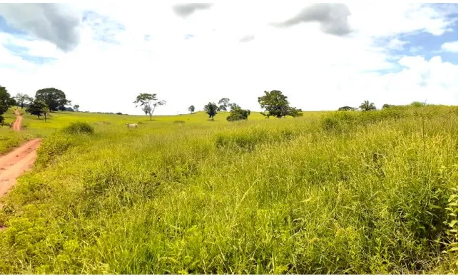 Fazenda em Cumari/Goiás — Ref YPPPC8 — Imagem 4