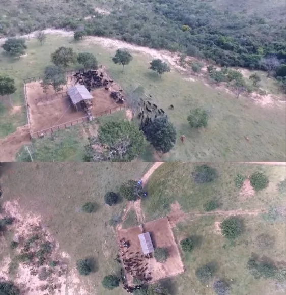 Fazenda em Santana do Riacho/Minas Gerais — Ref 8CCHSX — Imagem 3