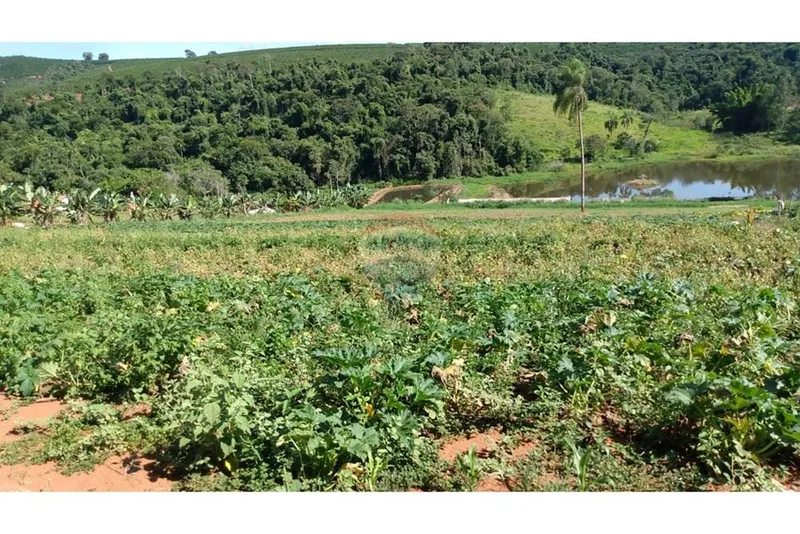 Chácara em Campestre/Minas Gerais — Ref 39KY2D — Imagem 7