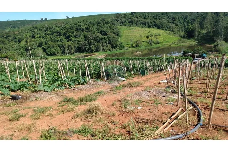 Chácara em Campestre/Minas Gerais — Ref 39KY2D — Imagem 10