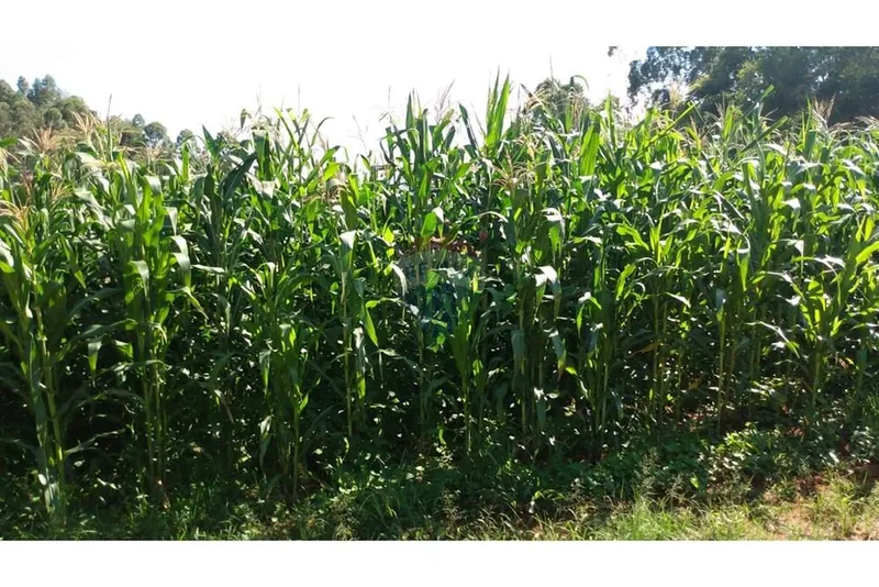 Chácara em Campestre/Minas Gerais — Ref 39KY2D — Imagem 17