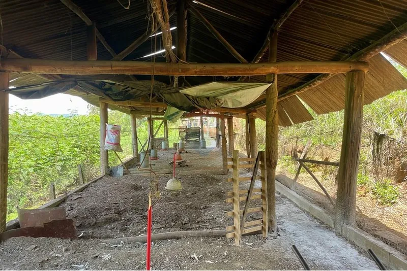 Chácara em Campestre/Minas Gerais — Ref 39KY2D — Imagem 3