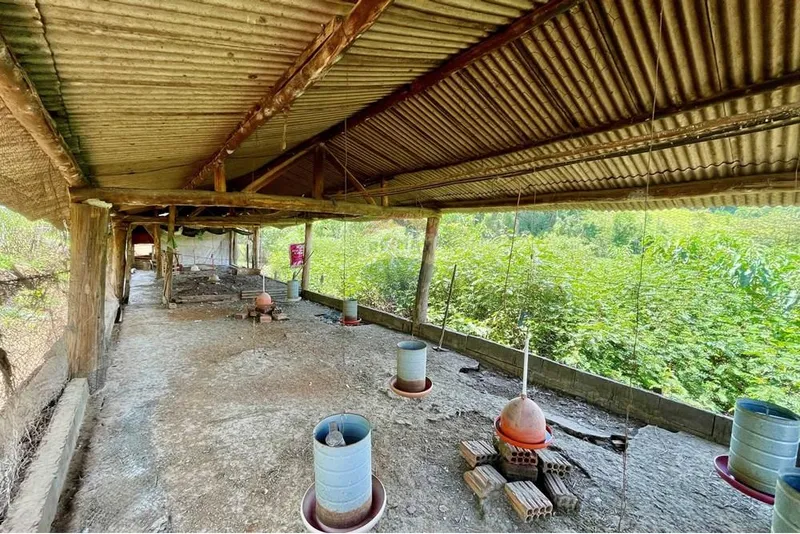 Chácara em Campestre/Minas Gerais — Ref 39KY2D — Imagem 4