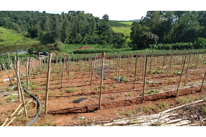 Chácara em Campestre/Minas Gerais — Ref 39KY2D — Imagem 9