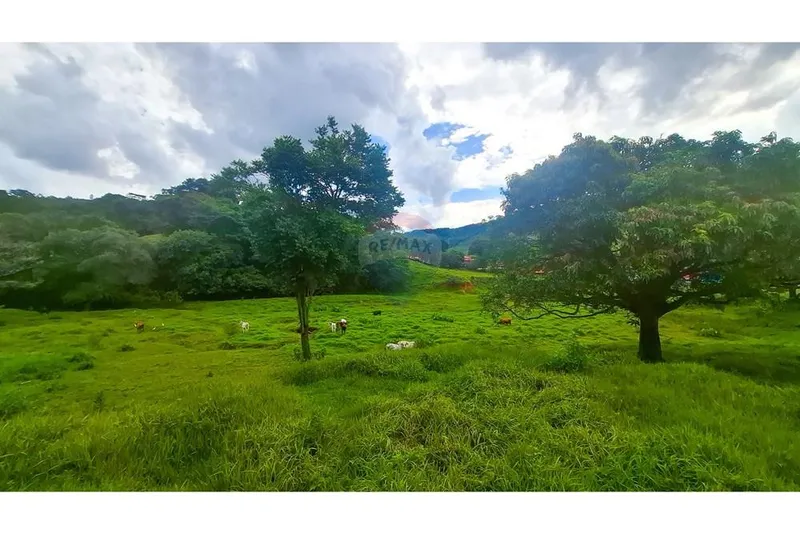 Chácara em Socorro/São Paulo — Ref ZRXSWF — Imagem 5