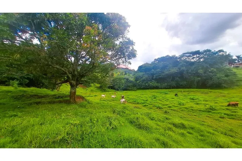 Chácara em Socorro/São Paulo — Ref ZRXSWF — Imagem 6