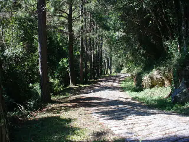 Fazenda em Itamonte/Minas Gerais — Ref A9D9M7 — Imagem 5