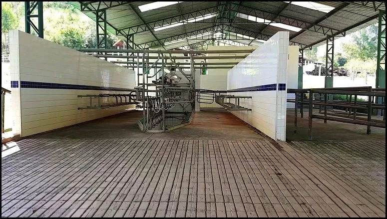 Fazenda em Cunha/São Paulo — Ref G7D76X — Imagem 4