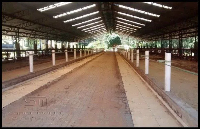 Fazenda em Cunha/São Paulo — Ref G7D76X — Imagem 9