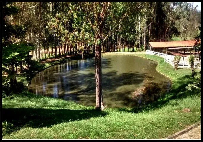 Fazenda em Cunha/São Paulo — Ref G7D76X — Imagem 18