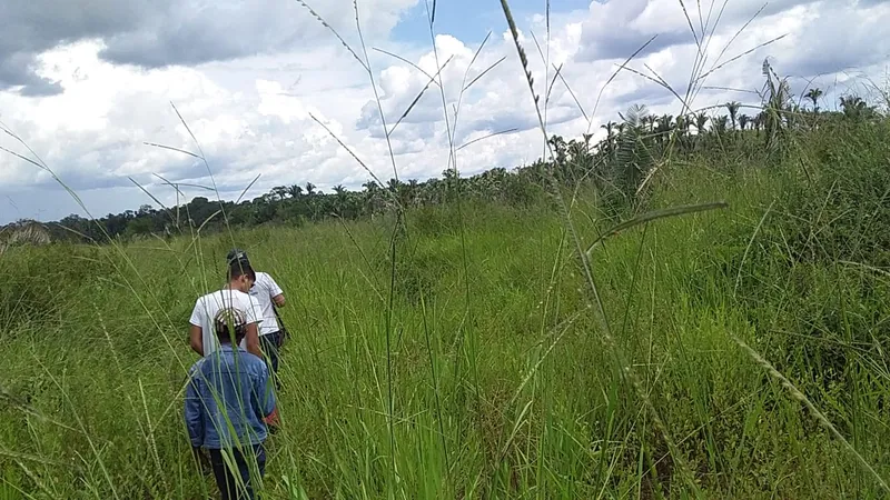 Fazenda em Recursolândia/Tocantins — Ref 79R4XV — Imagem 4