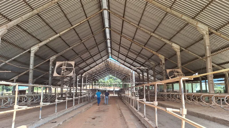 Fazenda em Carmo de Minas/Minas Gerais — Ref T8EQF9 — Imagem 9