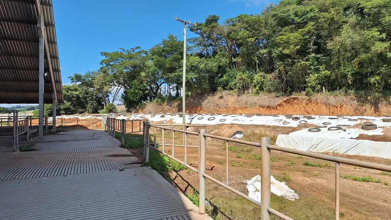 Fazenda em Carmo de Minas/Minas Gerais — Ref T8EQF9 — Imagem 21