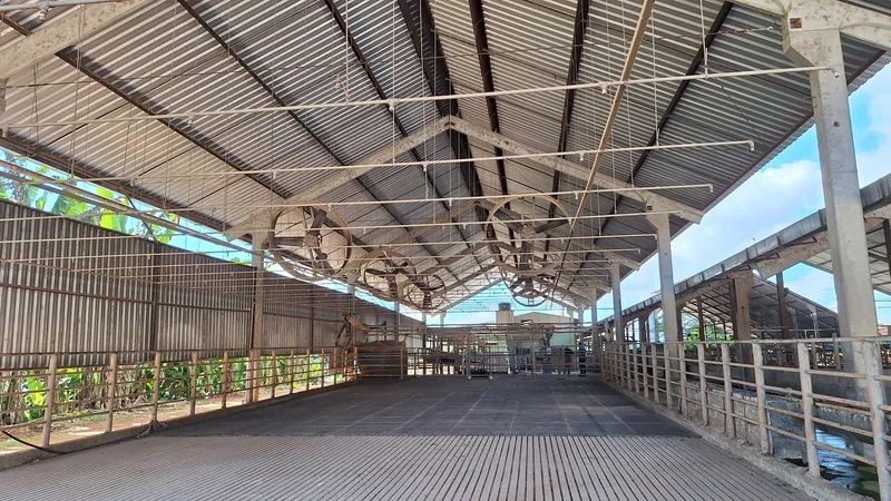 Fazenda em Carmo de Minas/Minas Gerais — Ref T8EQF9 — Imagem 10