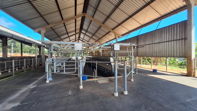 Fazenda em Carmo de Minas/Minas Gerais — Ref T8EQF9 — Imagem 11