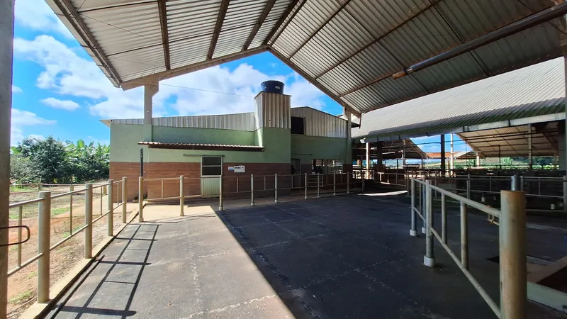 Fazenda em Carmo de Minas/Minas Gerais — Ref T8EQF9 — Imagem 8