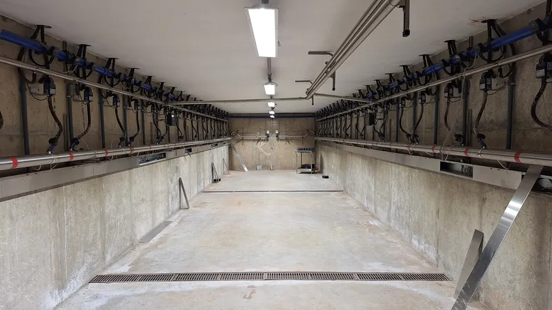 Fazenda em Carmo de Minas/Minas Gerais — Ref T8EQF9 — Imagem 12