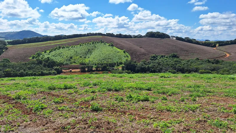 Fazenda em Carmo de Minas/Minas Gerais — Ref T8EQF9 — Imagem 25