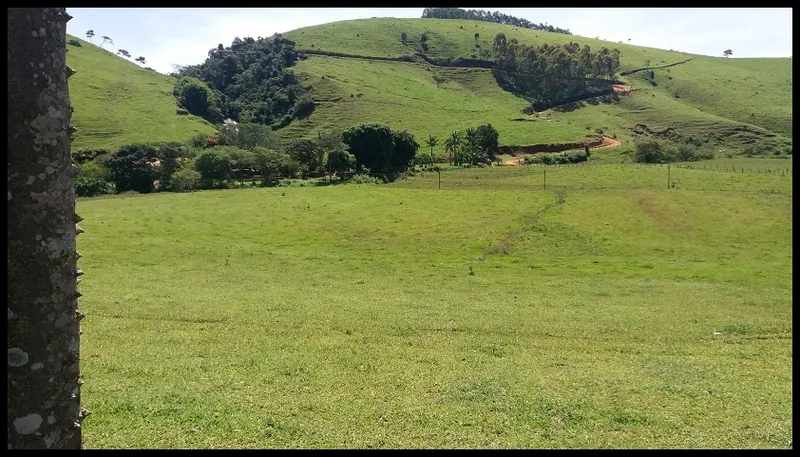 Fazenda em Silveiras/São Paulo — Ref Y3DUAT — Imagem 19