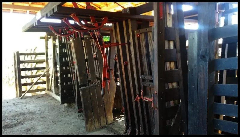 Fazenda em Silveiras/São Paulo — Ref Y3DUAT — Imagem 8