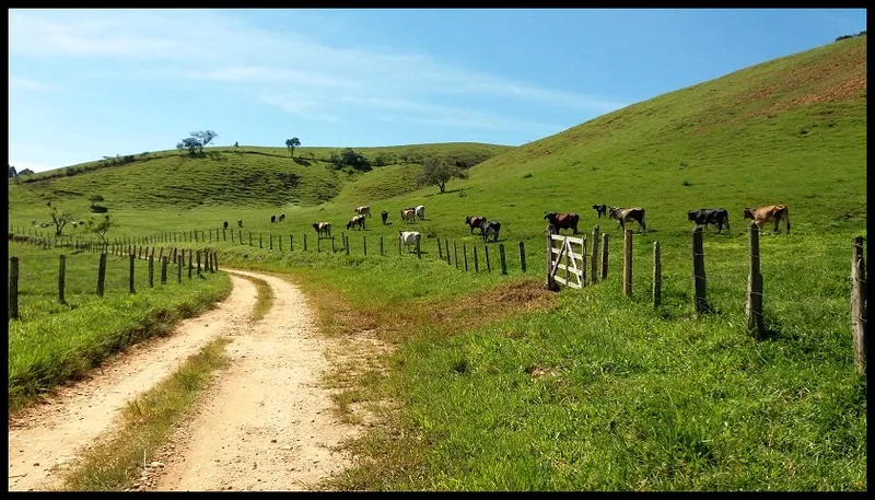 Fazenda em Silveiras/São Paulo — Ref Y3DUAT — Imagem 2