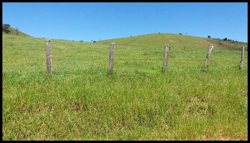 Fazenda em Silveiras/São Paulo — Ref Y3DUAT — Imagem 24
