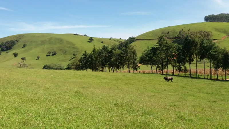 Fazenda em Silveiras/São Paulo — Ref Y3DUAT — Imagem 27