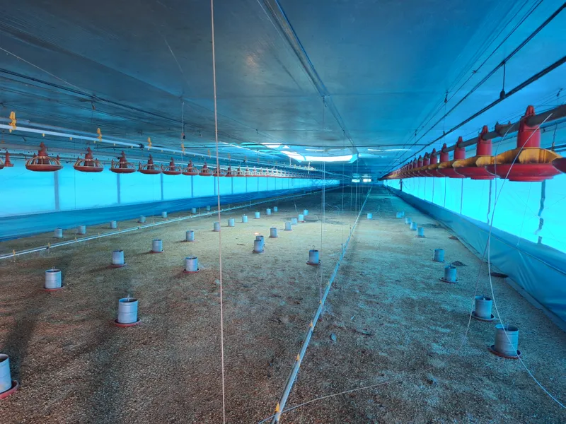 Agroindustrial em Itapira/São Paulo — Ref 219C0K — Imagem 9