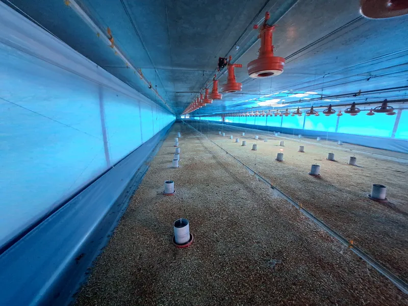 Agroindustrial em Itapira/São Paulo — Ref 219C0K — Imagem 12