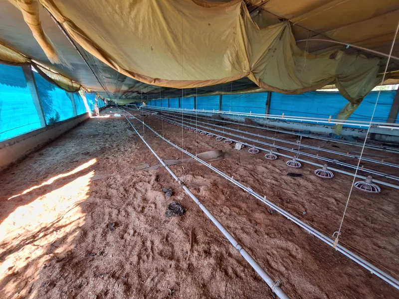 Agroindustrial em Itapira/São Paulo — Ref 219C0K — Imagem 32