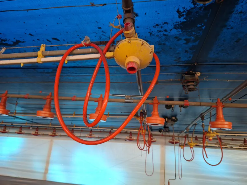 Agroindustrial em Itapira/São Paulo — Ref 219C0K — Imagem 56