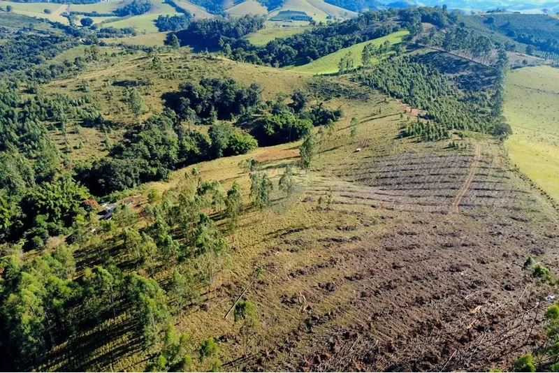 Sítio em Socorro/São Paulo — Ref 4Q6YIA — Imagem 2