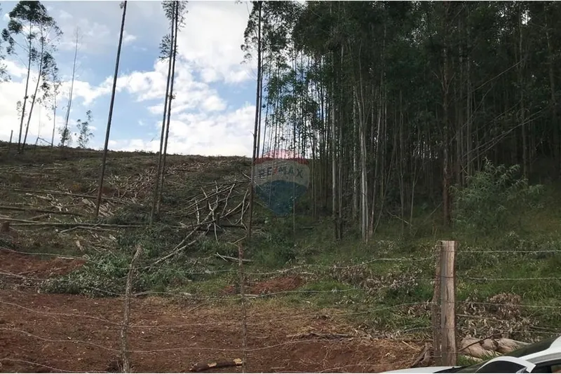 Sítio em Socorro/São Paulo — Ref 4Q6YIA — Imagem 21