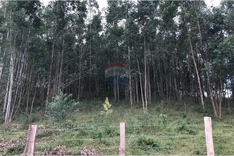 Sítio em Socorro/São Paulo — Ref 4Q6YIA — Imagem 18