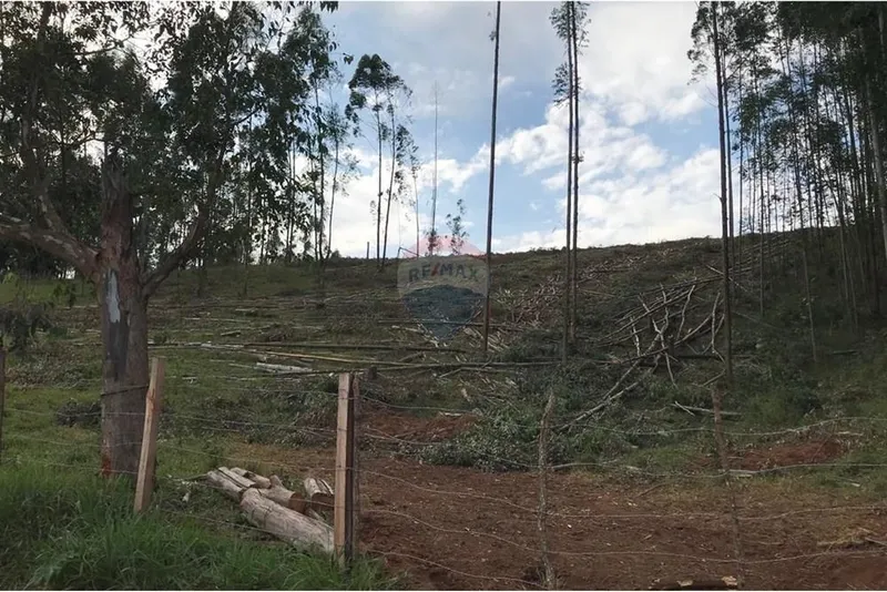 Sítio em Socorro/São Paulo — Ref 4Q6YIA — Imagem 17