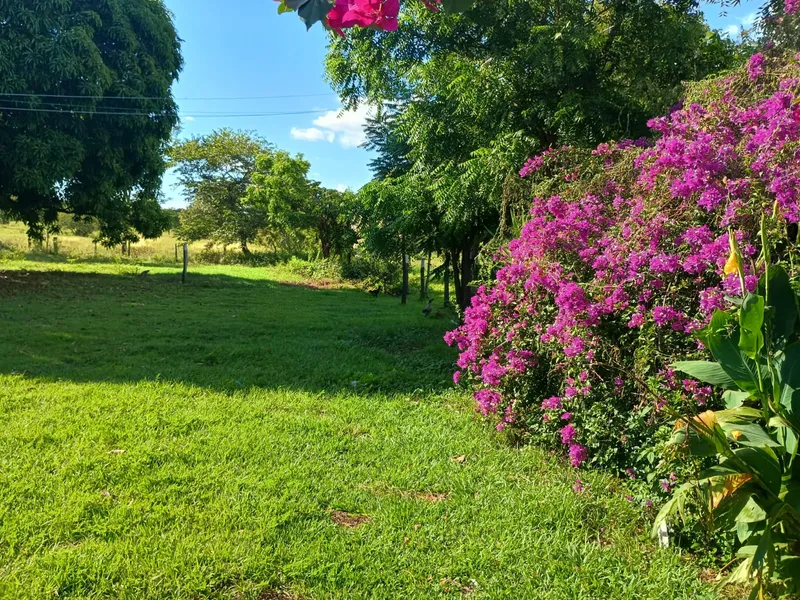 Chãozão - O Maior Portal de Anúncios de Imóveis Rurais do Brasil.