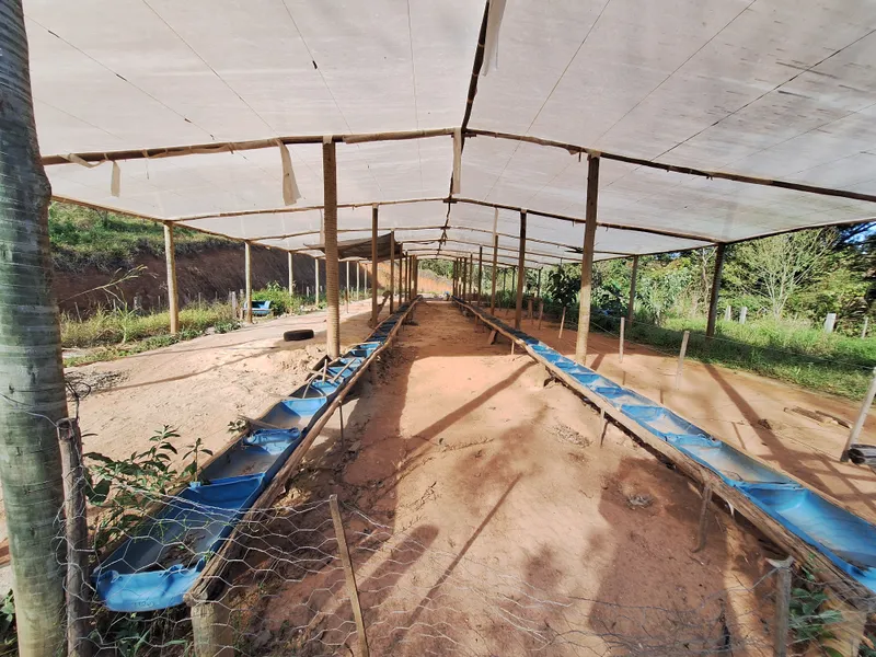 Chácara em Itapira/São Paulo — Ref F1YBMS — Imagem 38