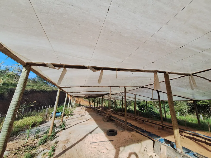 Chácara em Itapira/São Paulo — Ref F1YBMS — Imagem 40