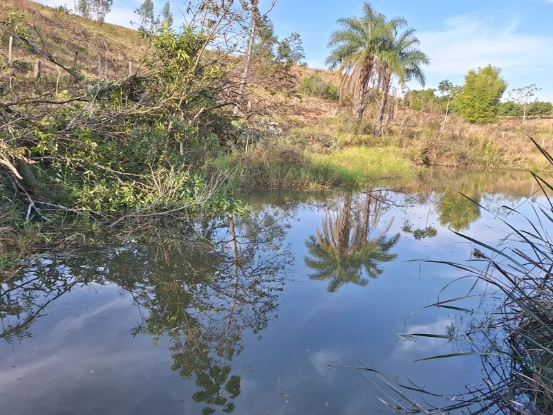 Chácara em Itapira/São Paulo — Ref F1YBMS — Imagem 43